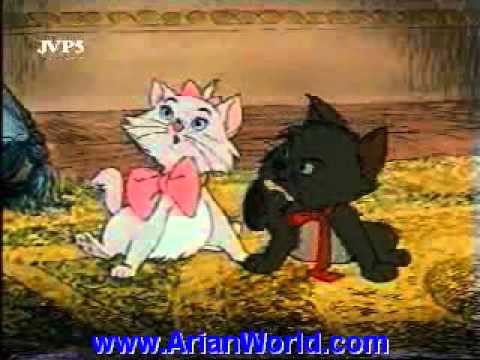 gorbehaye ashrafi gorbehaye ashrafi